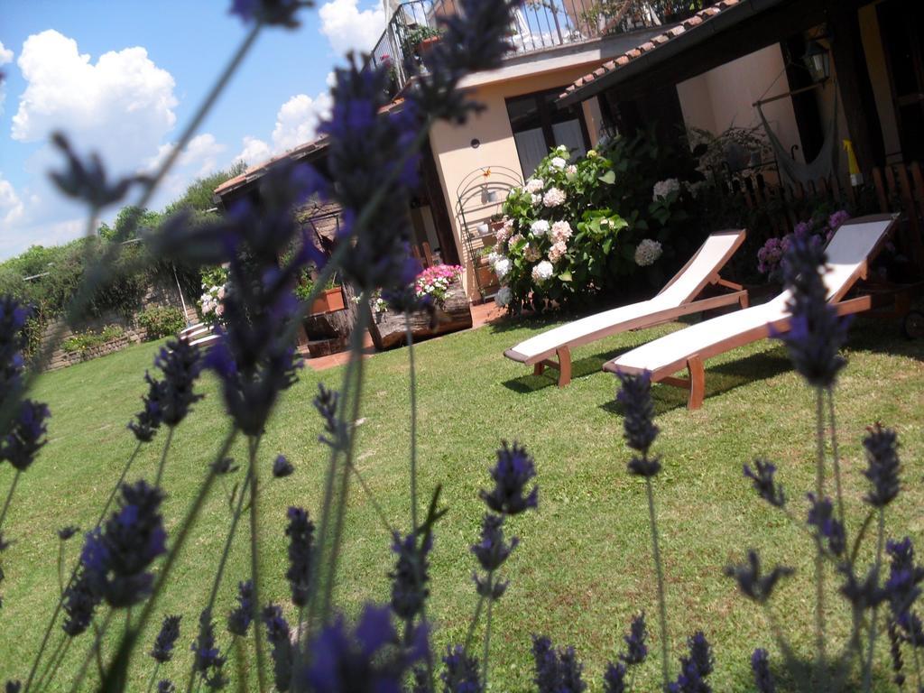Agriturismo San Giacomo Pitigliano Kamer foto