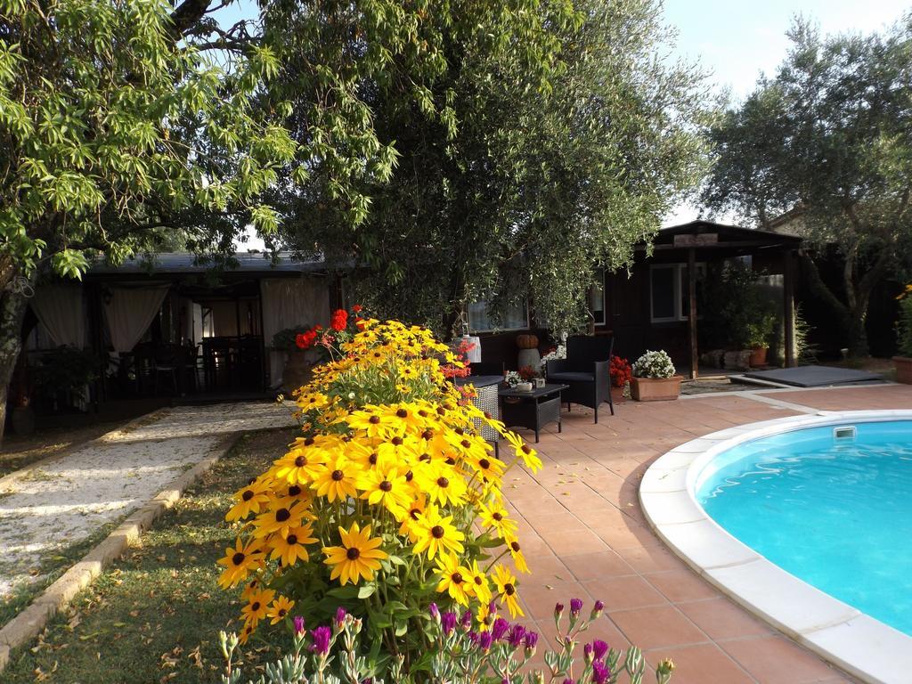 Agriturismo San Giacomo Pitigliano Kamer foto